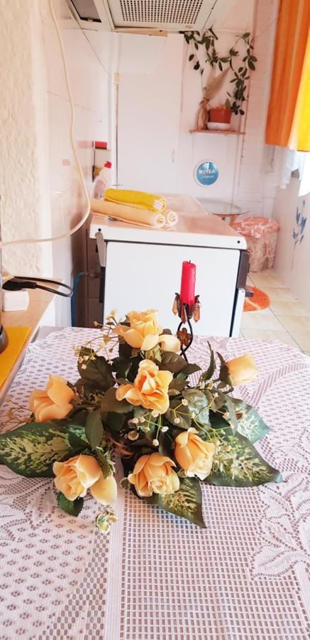 Apartmán Casa Mihaela Mangalia Exteriér fotografie